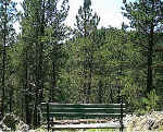 RT bench2.jpg (107861 bytes)