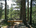 RT bench 3.jpg (100896 bytes)
